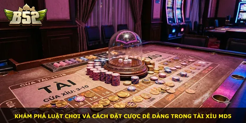 Khám phá luật chơi và cách đặt cược dễ dàng trong Tài Xỉu Md5